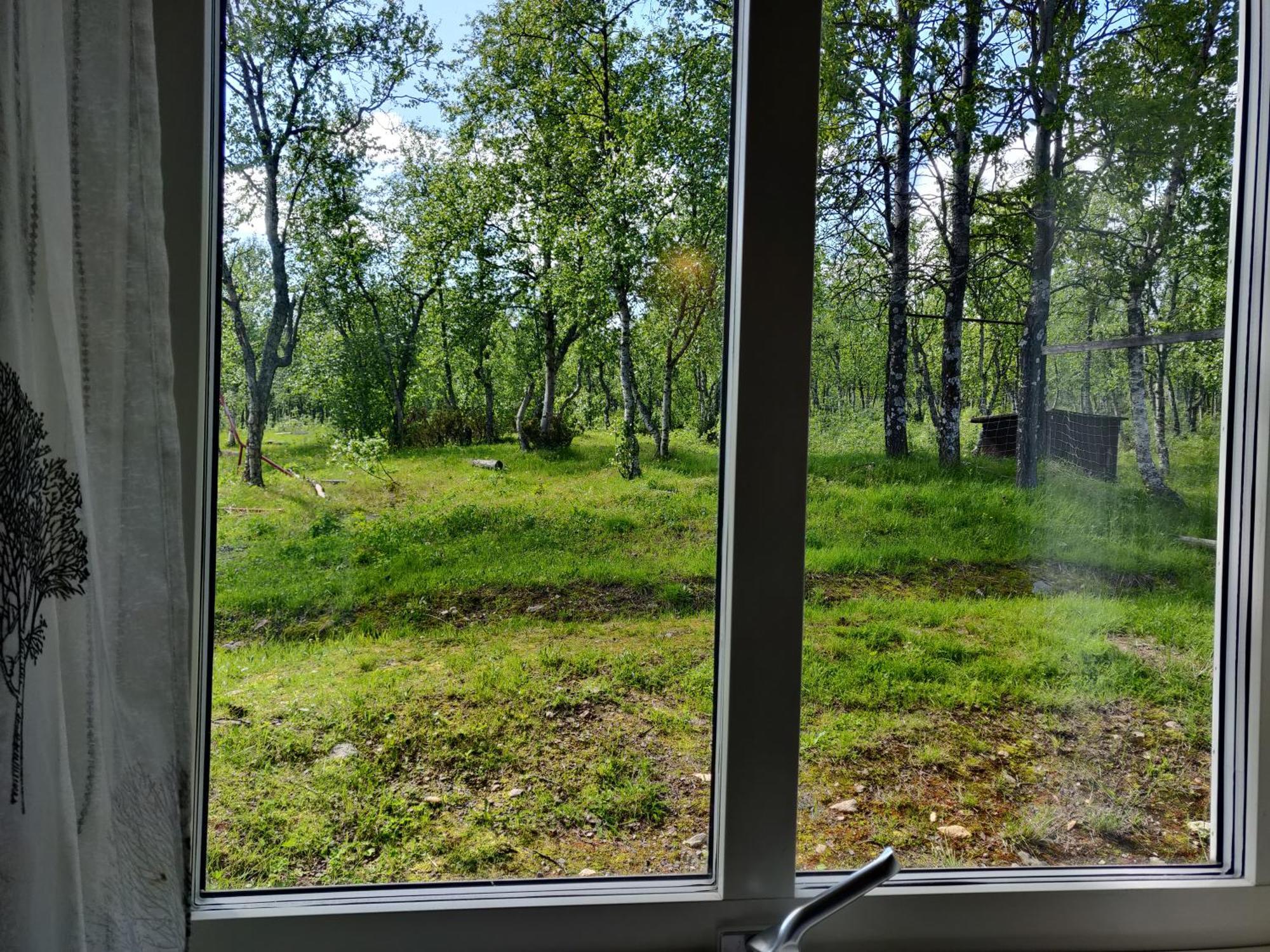 Husky Lodge Hostel Kiruna Bilik gambar