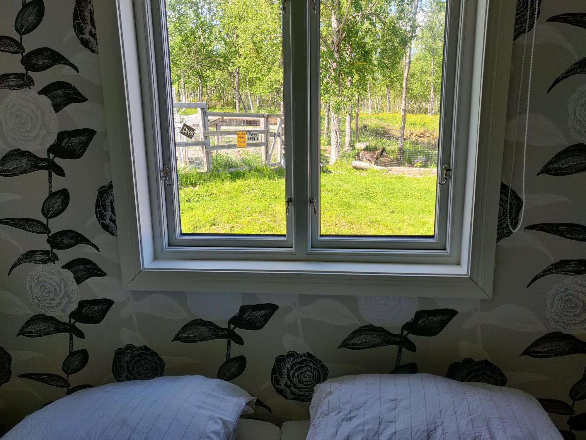 Husky Lodge Hostel Kiruna Bilik gambar