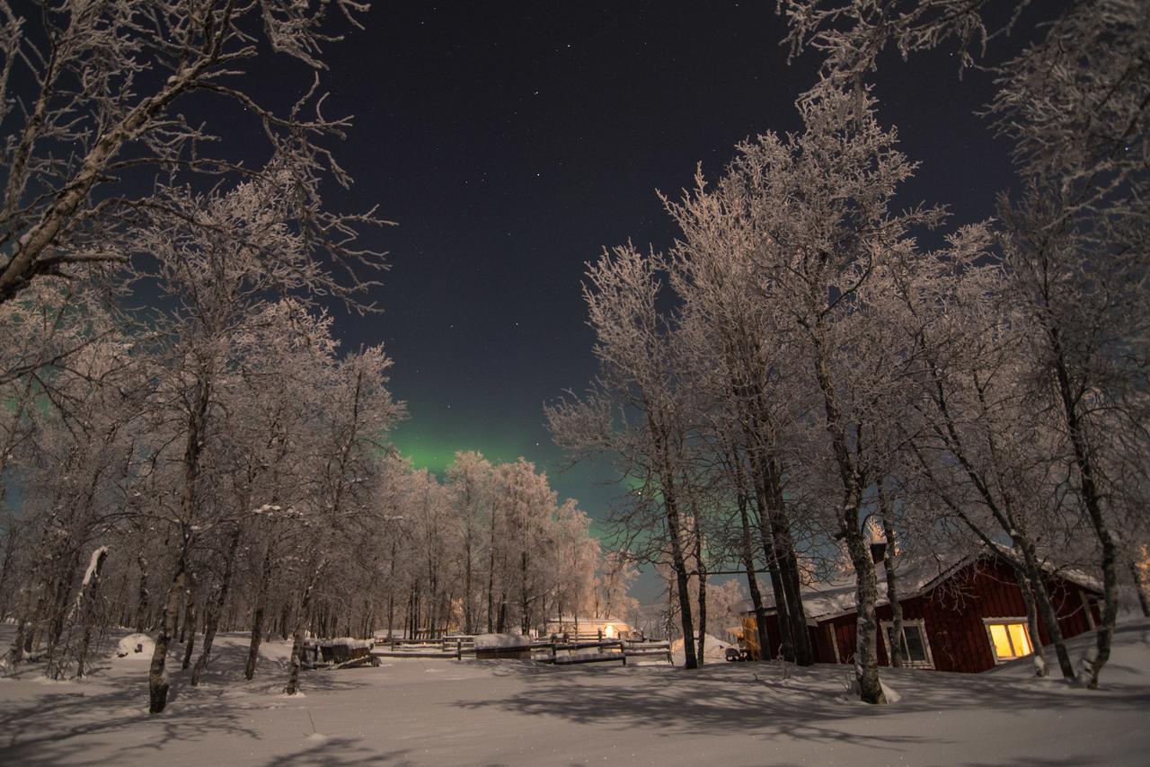 Husky Lodge Hostel Kiruna Luaran gambar