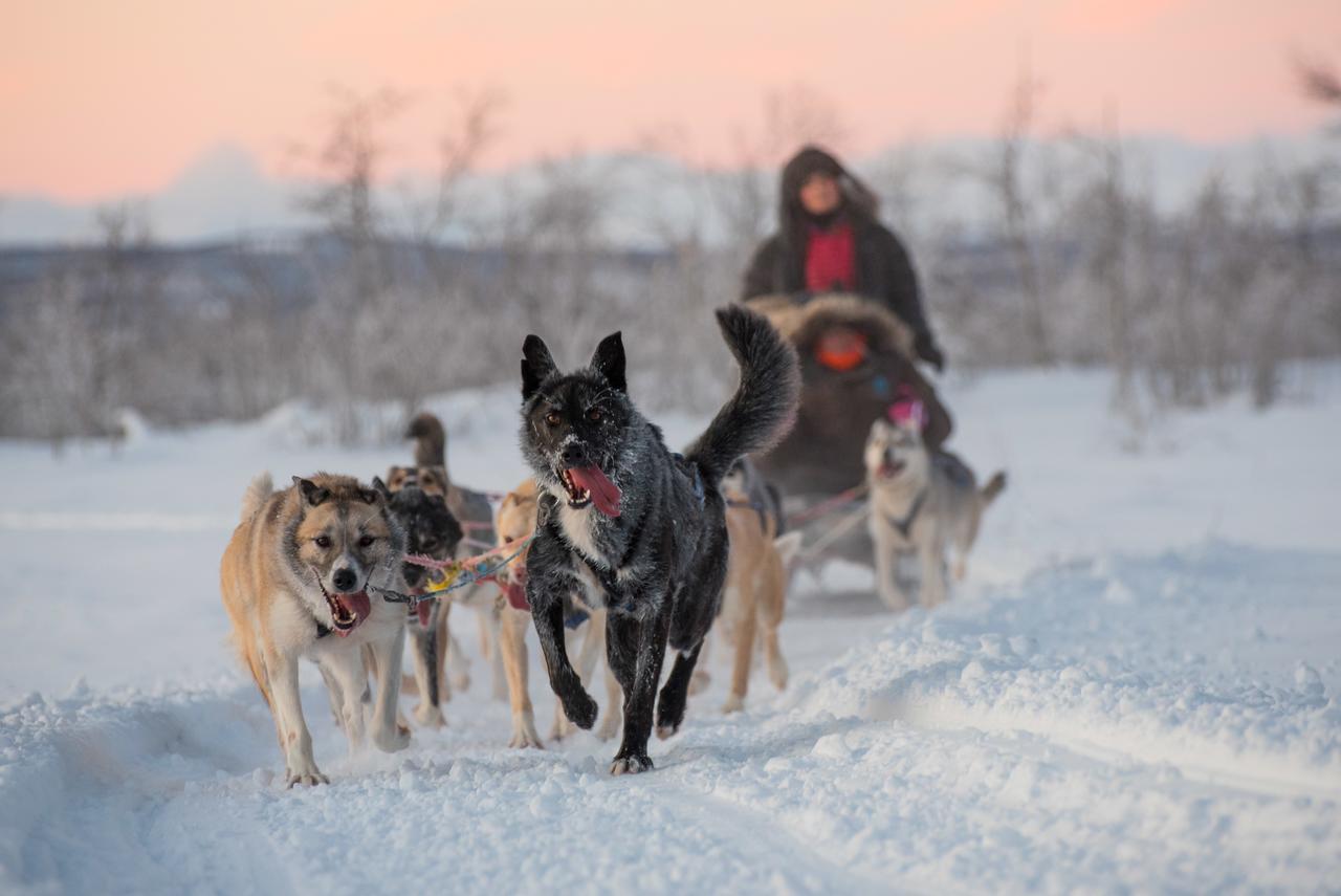 Husky Lodge Hostel Kiruna Luaran gambar