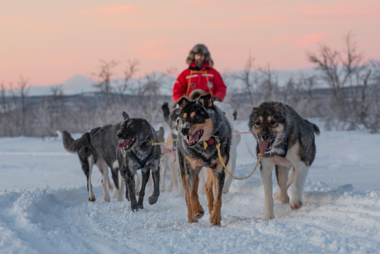 Husky Lodge Hostel Kiruna Luaran gambar