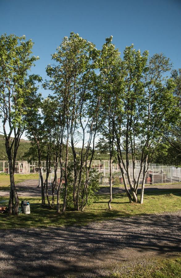 Husky Lodge Hostel Kiruna Luaran gambar