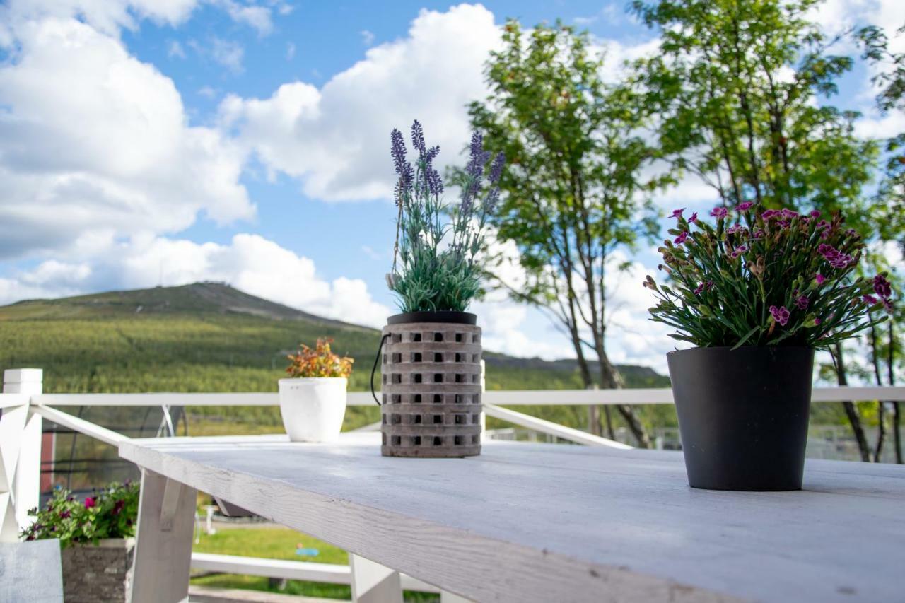 Husky Lodge Hostel Kiruna Luaran gambar
